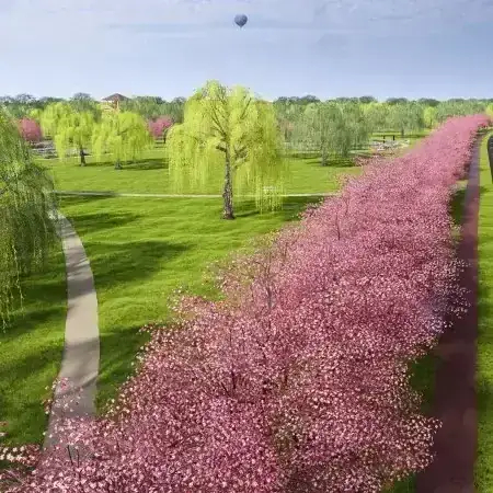 Revitalizare spatii urbane