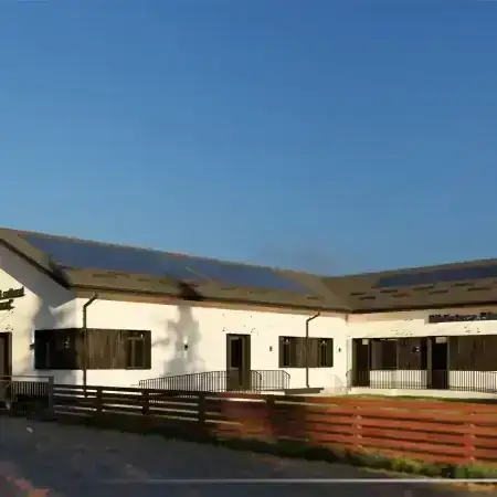 Renaștere Culturală 