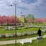 Revitalizare spatii urbane